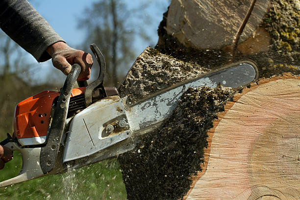 Mulching Services in Blauvelt, NY